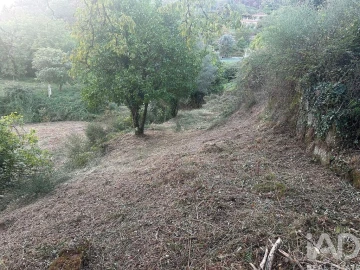 Terreno para Venda em Rio Frio
