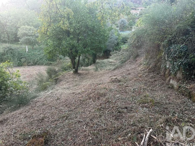 Terreno para Venda em Rio Frio Foto 11