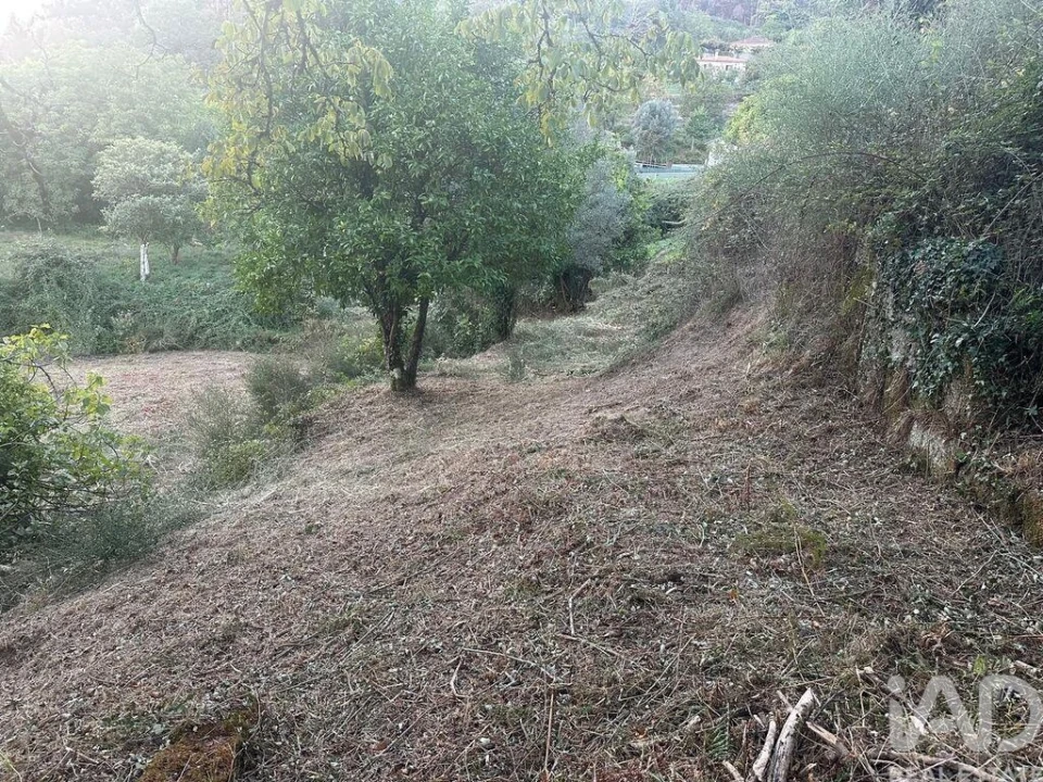 Terreno para Venda em Rio Frio Foto 11
