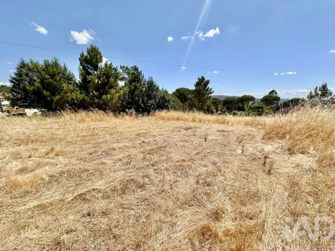 Terreno para Venda em Povolide Foto 4