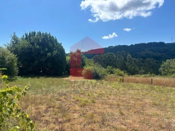 Terreno para Venda em Pico de Regalados, Gondiães e Mós