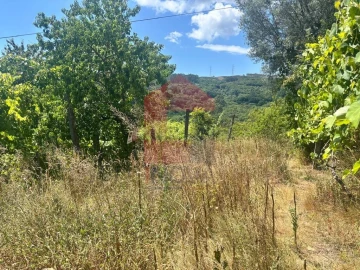 Terreno para Venda em Pico de Regalados, Gondiães e Mós