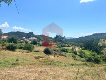 Terreno para Venda em Pico de Regalados, Gondiães e Mós