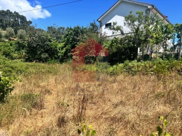 Terreno para Venda em Pico de Regalados, Gondiães e Mós