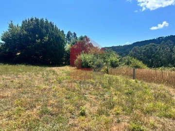 Terreno para Venda em Pico de Regalados, Gondiães e Mós