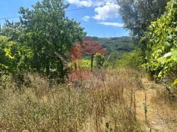 Terreno para Venda em Pico de Regalados, Gondiães e Mós