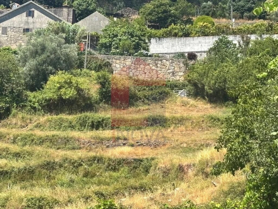 Terreno para Venda em Pico de Regalados, Gondiães e Mós Foto 16
