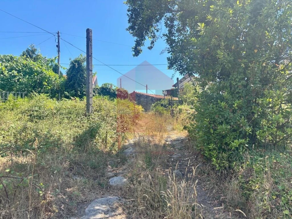 Terreno para Venda em Pico de Regalados, Gondiães e Mós Foto 17