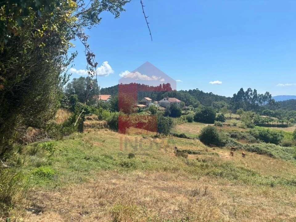 Terreno para Venda em Pico de Regalados, Gondiães e Mós Foto 11