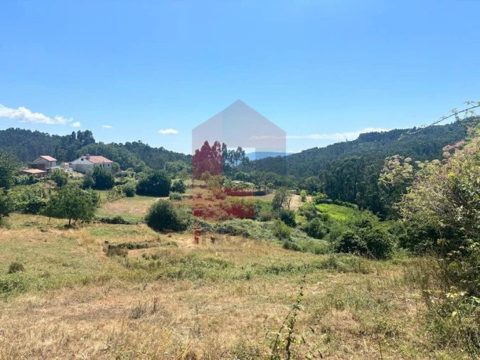 Terreno para Venda em Pico de Regalados, Gondiães e Mós Foto 6