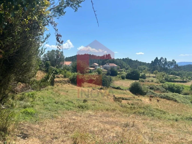 Terreno para Venda em Pico de Regalados, Gondiães e Mós Foto 11