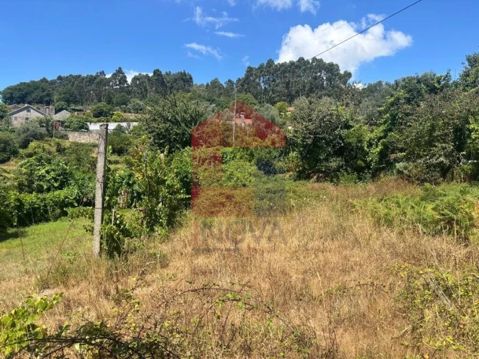Terreno para Venda em Pico de Regalados, Gondiães e Mós Foto 9