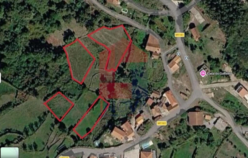 Terreno para Venda em Pico de Regalados, Gondiães e Mós Foto 18