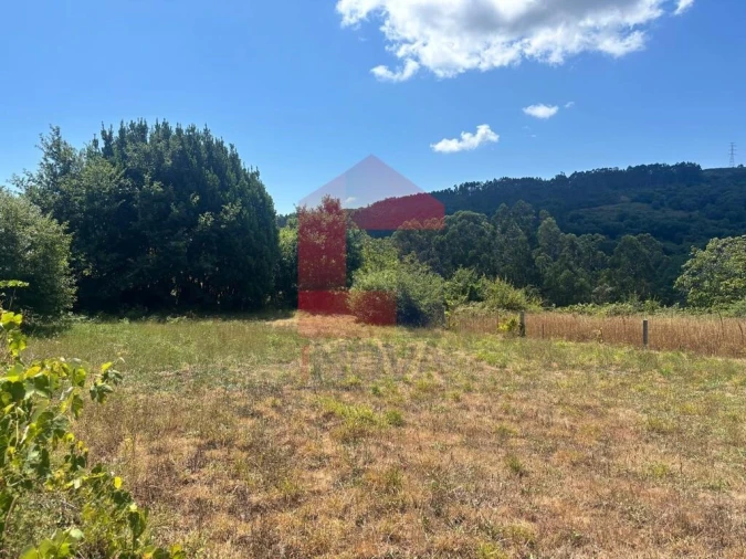 Terreno para Venda em Pico de Regalados, Gondiães e Mós Foto 15