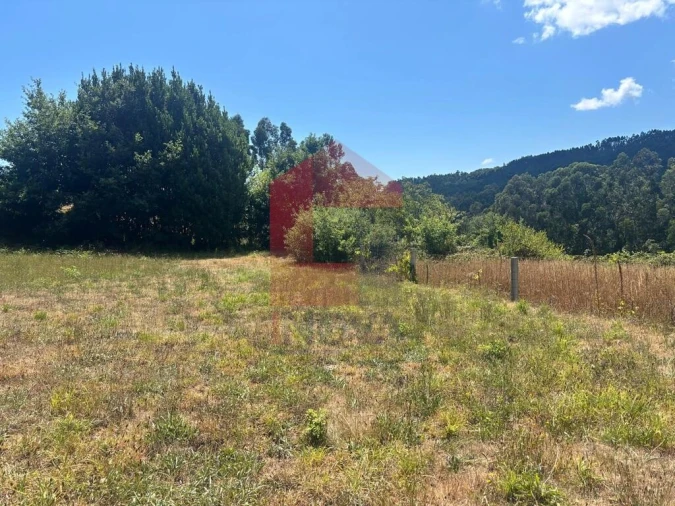 Terreno para Venda em Pico de Regalados, Gondiães e Mós Foto 14