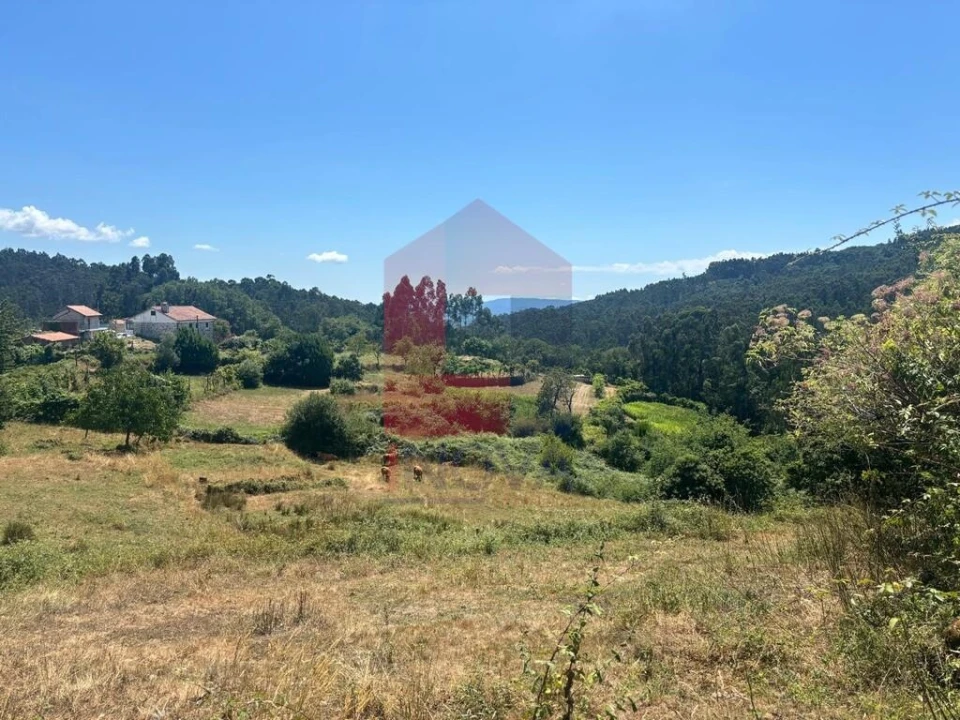 Terreno para Venda em Pico de Regalados, Gondiães e Mós Foto 12