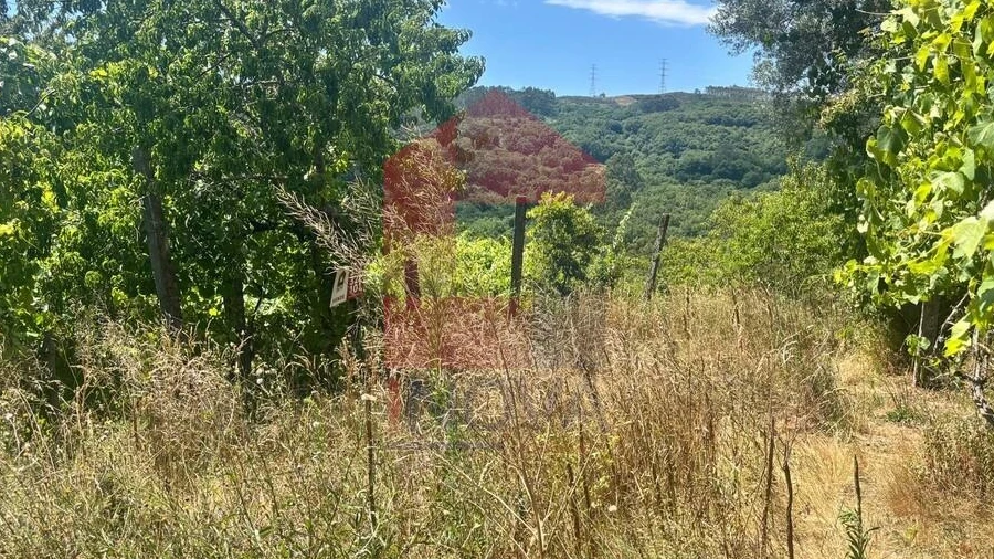 Terreno para Venda em Pico de Regalados, Gondiães e Mós