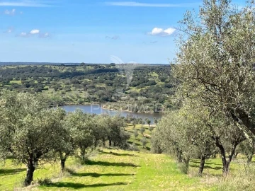 Terreno para Venda em Avis
