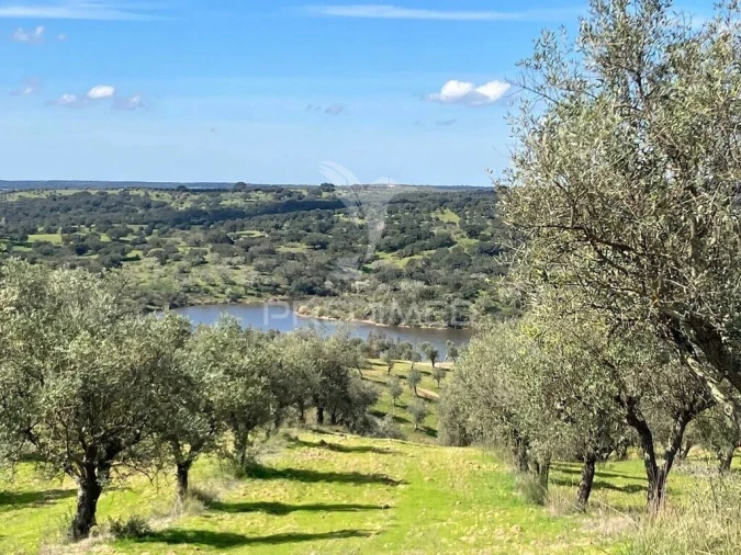 Terreno para Venda em Avis Foto 3