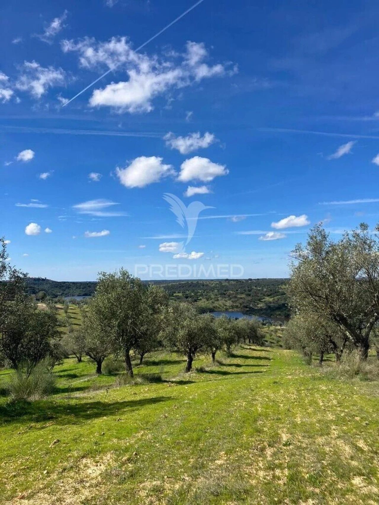 Terreno para Venda em Avis Foto 2