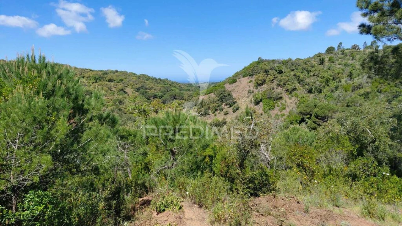 Terreno para Venda em São Francisco da Serra Foto 8
