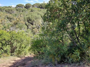 Terreno para Venda em São Francisco da Serra