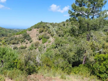 Terreno para Venda em São Francisco da Serra