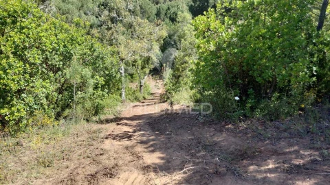 Terreno para Venda em São Francisco da Serra
