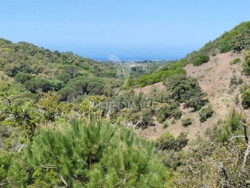 Terreno para Venda em São Francisco da Serra