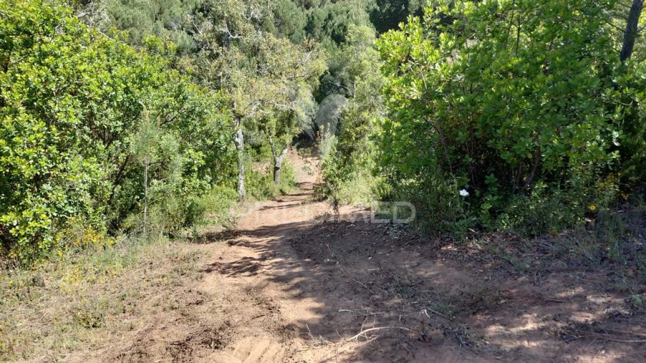 Terreno para Venda em São Francisco da Serra Foto 14