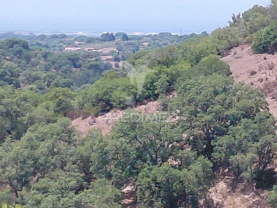 Terreno para Venda em São Francisco da Serra Foto 15