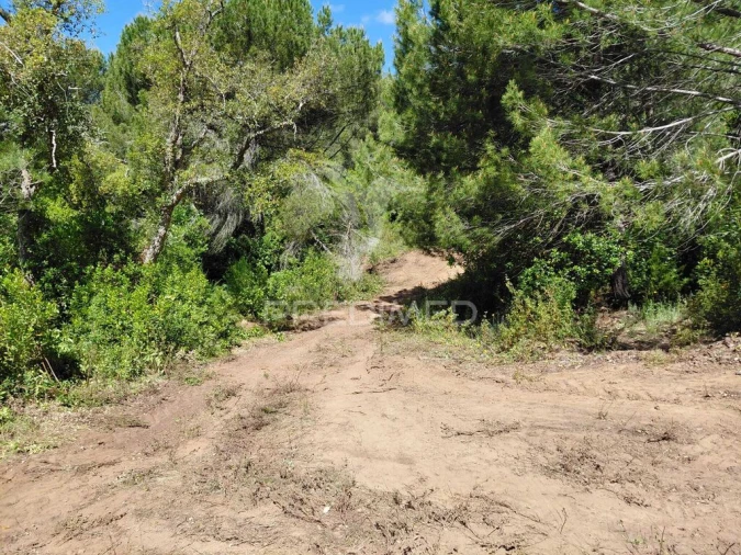 Terreno para Venda em São Francisco da Serra Foto 3