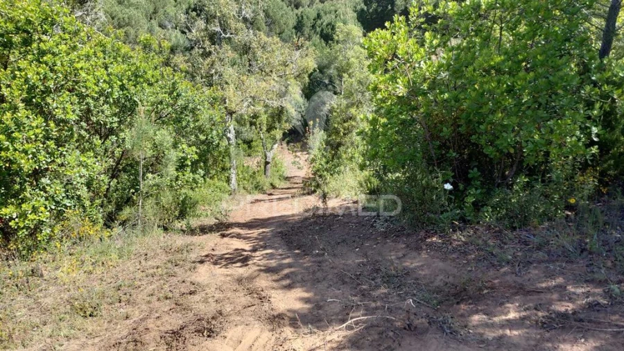 Terreno para Venda em São Francisco da Serra Foto 14