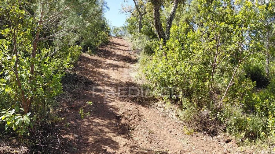 Terreno para Venda em São Francisco da Serra