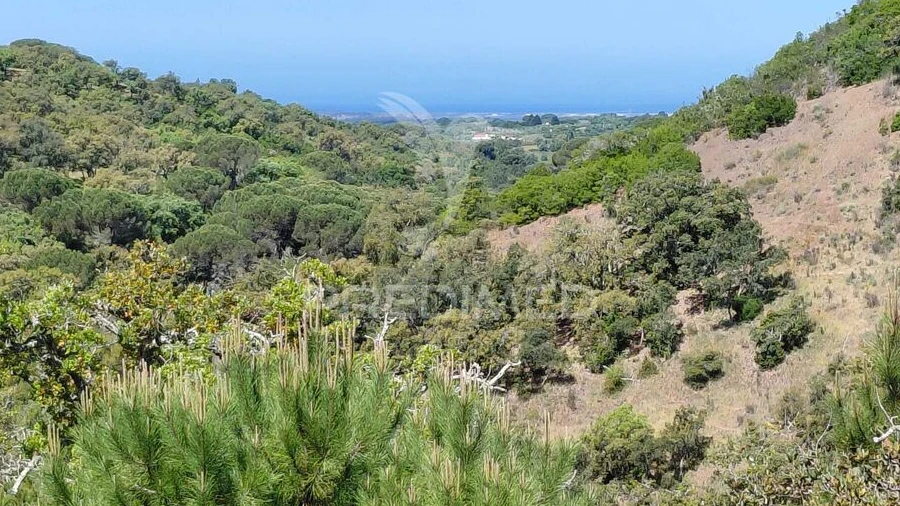 Terreno para Venda em São Francisco da Serra