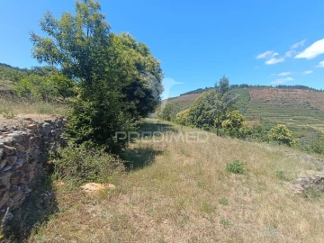 Terreno para Venda em Alcongosta