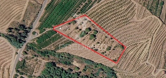 Terreno para Venda em Alcongosta