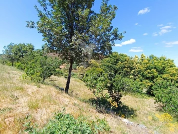 Terreno para Venda em Alcongosta