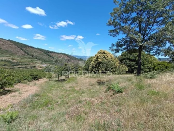 Terreno para Venda em Alcongosta