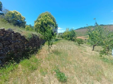 Terreno para Venda em Alcongosta