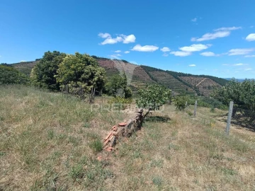 Terreno para Venda em Alcongosta