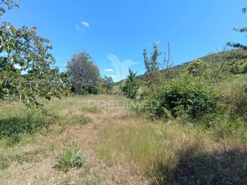 Terreno para Venda em Alcongosta