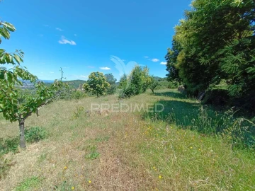 Terreno para Venda em Alcongosta