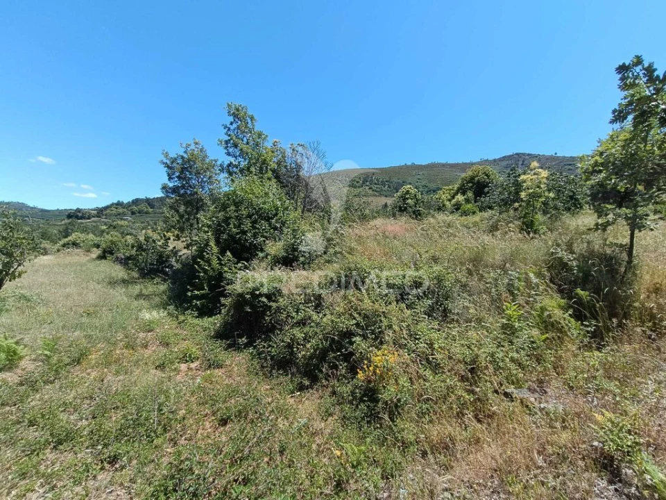 Terreno para Venda em Alcongosta Foto 8