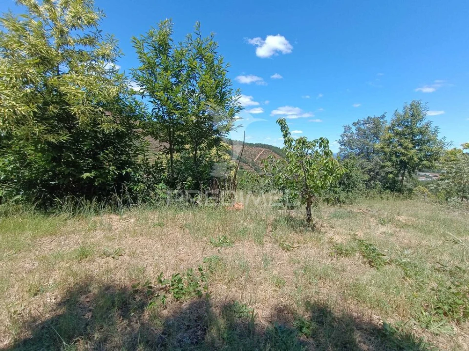 Terreno para Venda em Alcongosta Foto 16