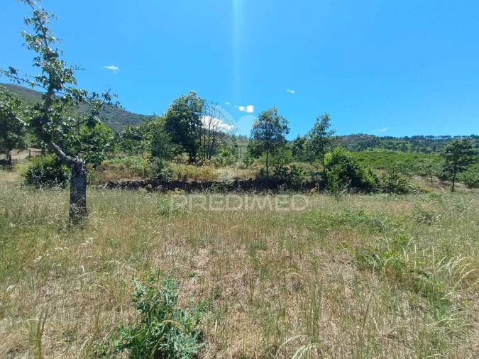 Terreno para Venda em Alcongosta Foto 13