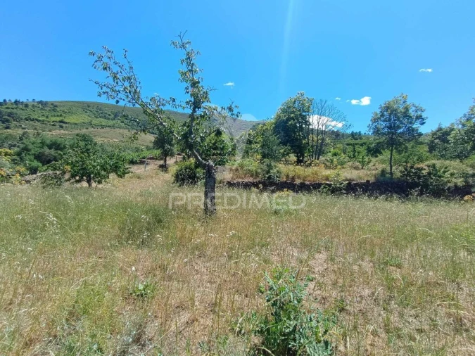 Terreno para Venda em Alcongosta Foto 14