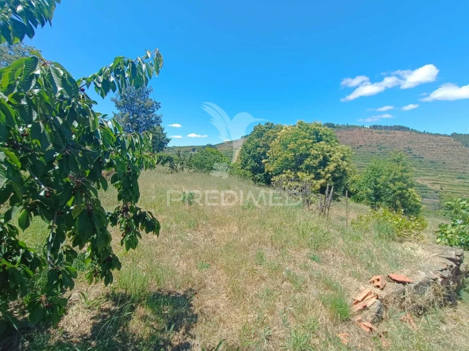 Terreno para Venda em Alcongosta Foto 12