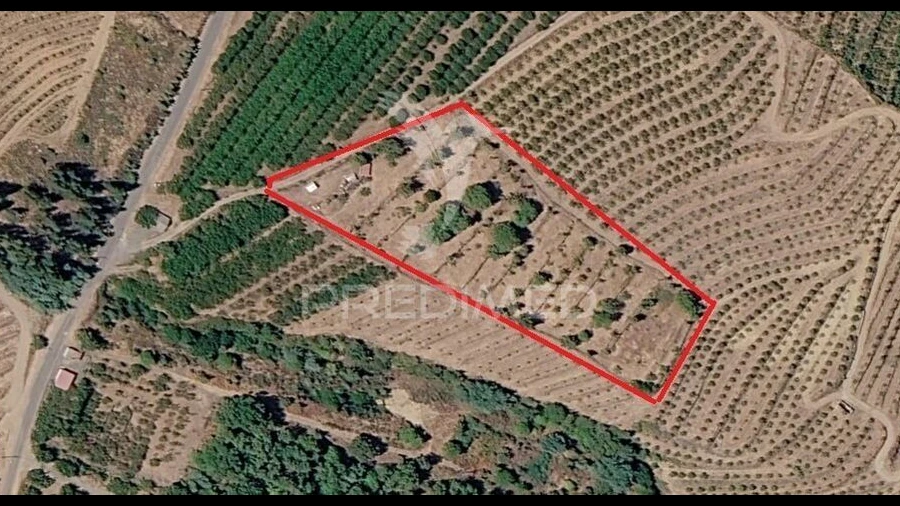 Terreno para Venda em Alcongosta