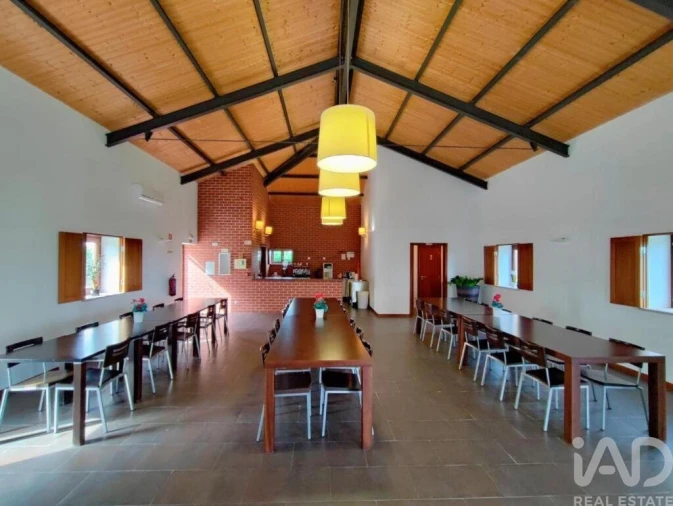 Quinta T25 para Venda em Nossa Senhora da Graça de Povoa e Meadas Foto 5